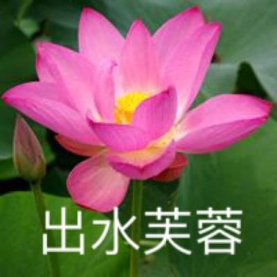 8四川省政协原党组成员、副主席杨克宁被“双开”